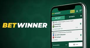 BetWinner Casino A Comprehensive Guide to Online Gaming