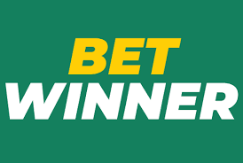 BetWinner Casino A Comprehensive Guide to Online Gaming